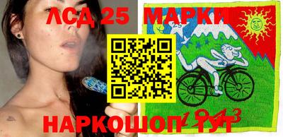 тгк Шелехов