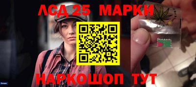 гидропоника Чебоксары