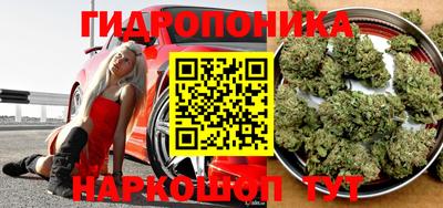 ALPHA PVP Шахты